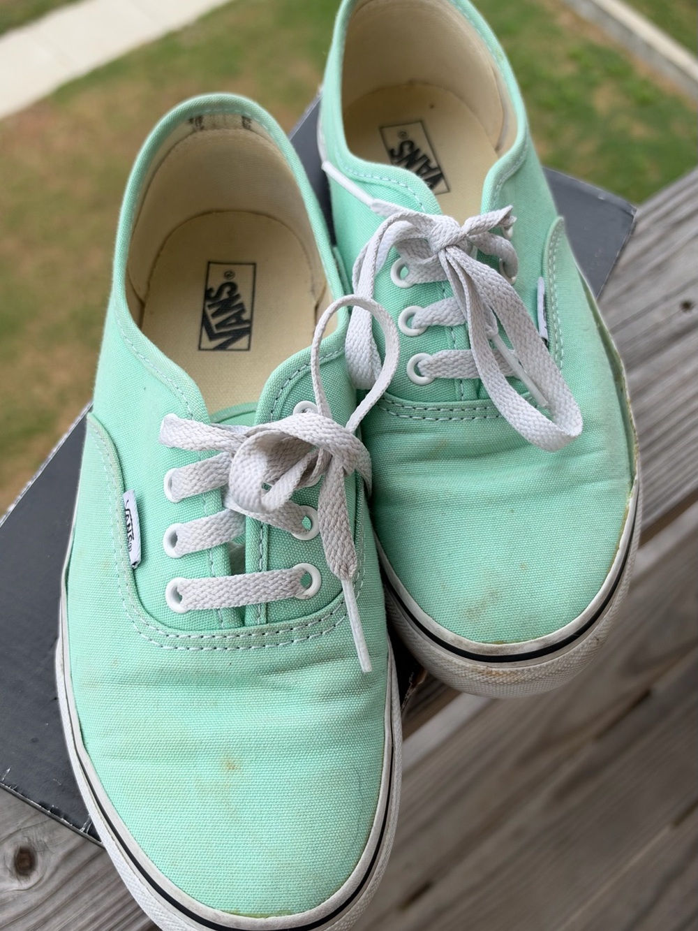 Vans Kids Classic Canvas Sneakers in Mint